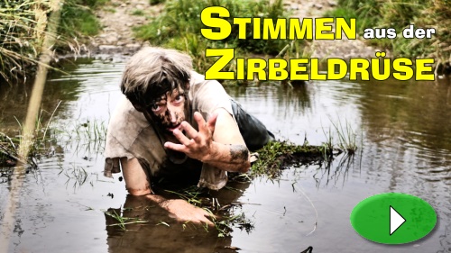 Die Zirbeldrse und ihre Stimmen