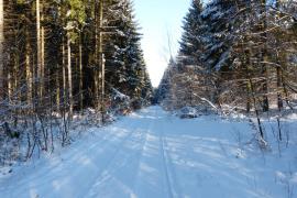 Der Schnee von gestern