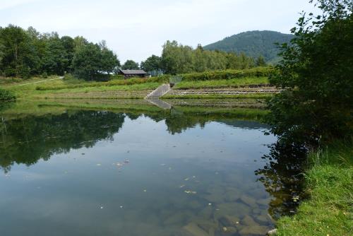 Das Sauerland von der schnsten Seite...